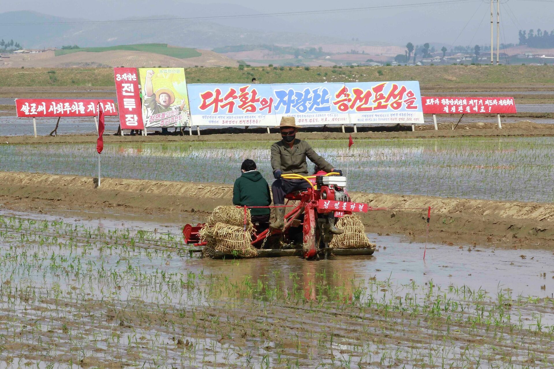 Una granja en Corea del Norte - Sputnik Mundo, 1920, 19.02.2021