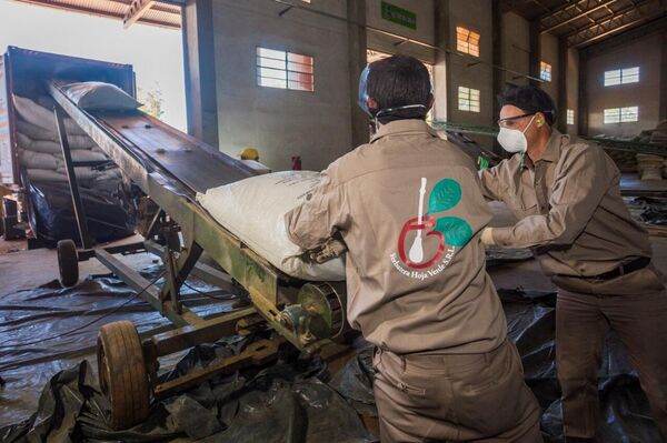 Trabajadores de Yerbatera Hoja Verde - Sputnik Mundo