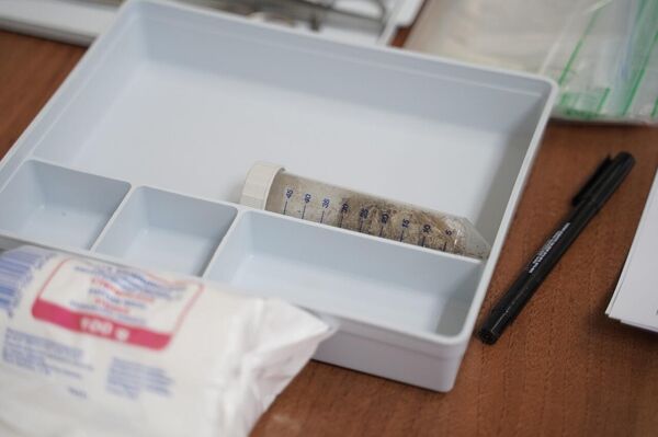 Muestras de tejidos blandos del caballo de 4.450 años de edad - Sputnik Mundo