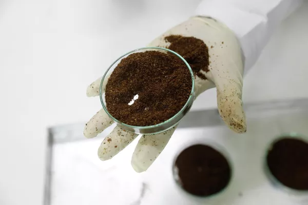 Philip Ouma, un gerente de laboratorio, sostiene un plato que contiene langostas del desierto molidas en el laboratorio Spectralab en Nairobi (Kenia). - Sputnik Mundo