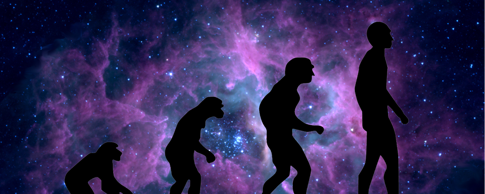 Evolución humana (imagen referencial) - Sputnik Mundo, 1920, 26.02.2021