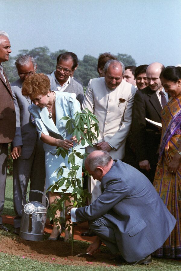 Gorbachov —quien estuvo a la cabeza de la URSS de 1985 a 1991— pasó a la historia como una personalidad que cambió tanto su propio país como el mundo entero. En la foto: Gorbachov planta un arbusto de mandioca junto a su esposa, Raísa, durante una visita oficial a la India, en 1988. - Sputnik Mundo