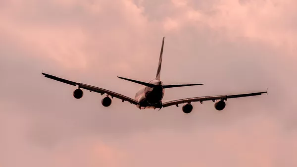 Un avión (imagen referencial) - Sputnik Mundo