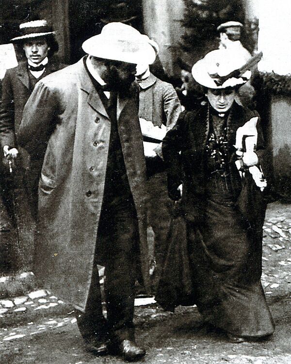 &quot;El liberalismo económico es la zorra libre en el gallinero libre&quot; - Sputnik Mundo