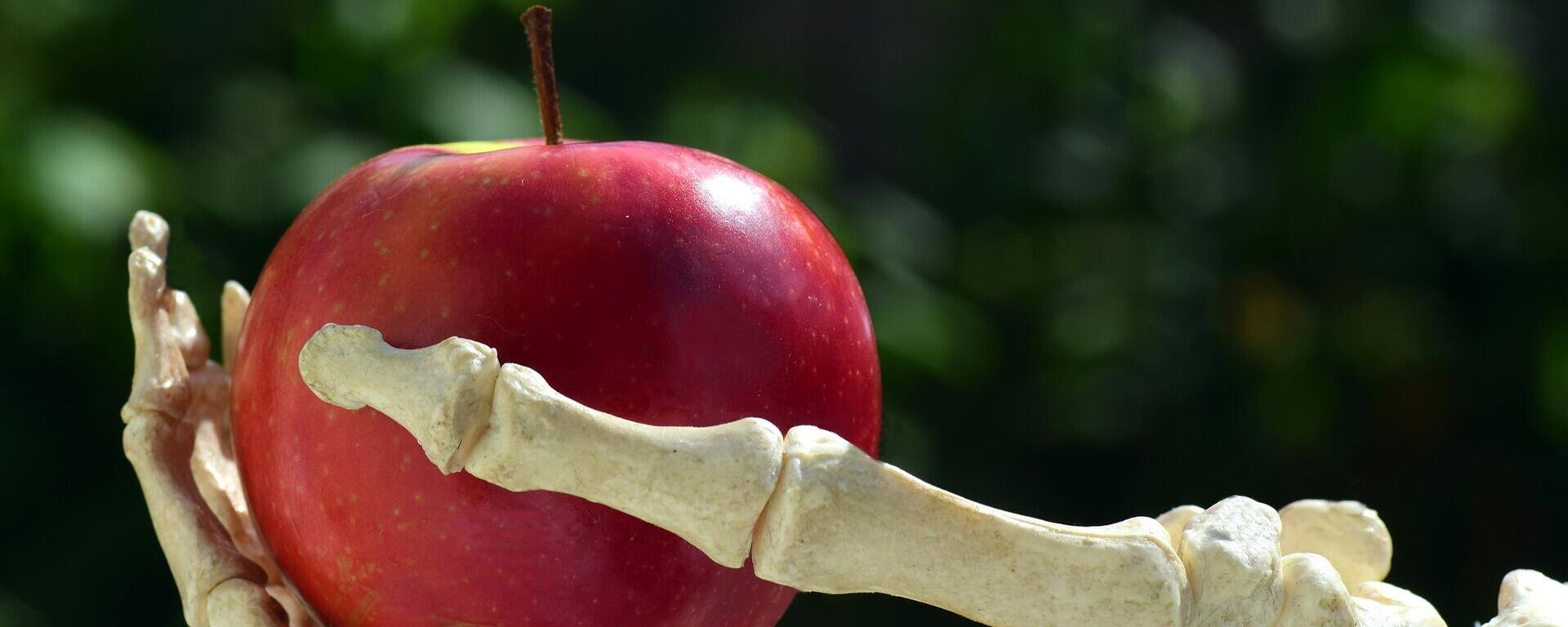 Una mano con manzana - Sputnik Mundo, 1920, 08.03.2021