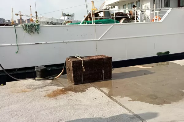 Caja en la que viajó Pabbar hasta el caladero Gran Sol Caja en la que viajó Pabbar hasta el caladero Gran Sol - Sputnik Mundo