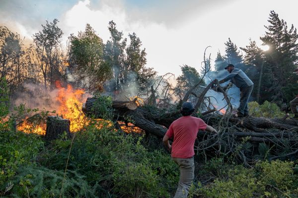 El ministro de Gobierno y Justicia de Chubut, José Maria Grazzini, señaló que el fuego se activó en varias localidades a la vez.  - Sputnik Mundo