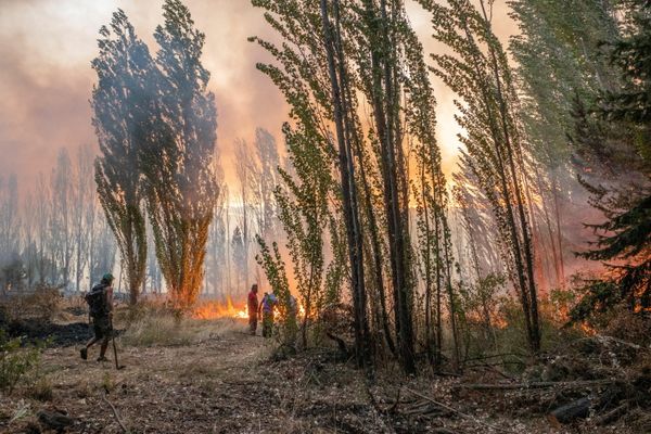 Los incendios han dejado decenas de heridos.  - Sputnik Mundo