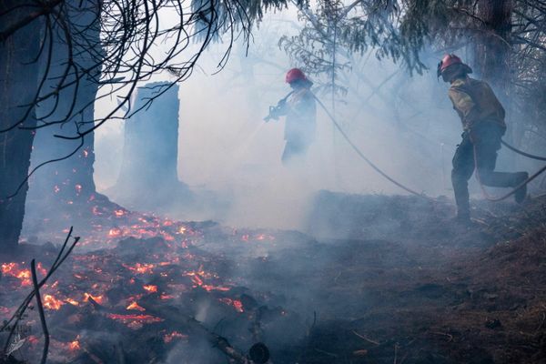Dos helicópteros, 12 autobombas y más de 60 brigadistas de varias provincias fueron enviados a combatir el fuego. Las ráfagas del viento obstaculizan la operación.  - Sputnik Mundo