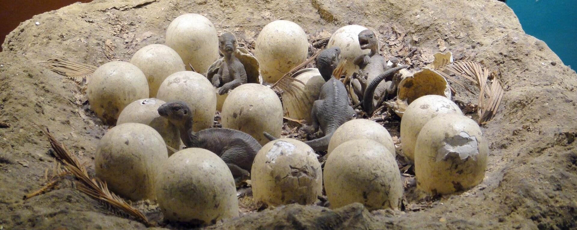 Los huevos de dinosaurio, ilustración - Sputnik Mundo, 1920, 12.03.2021