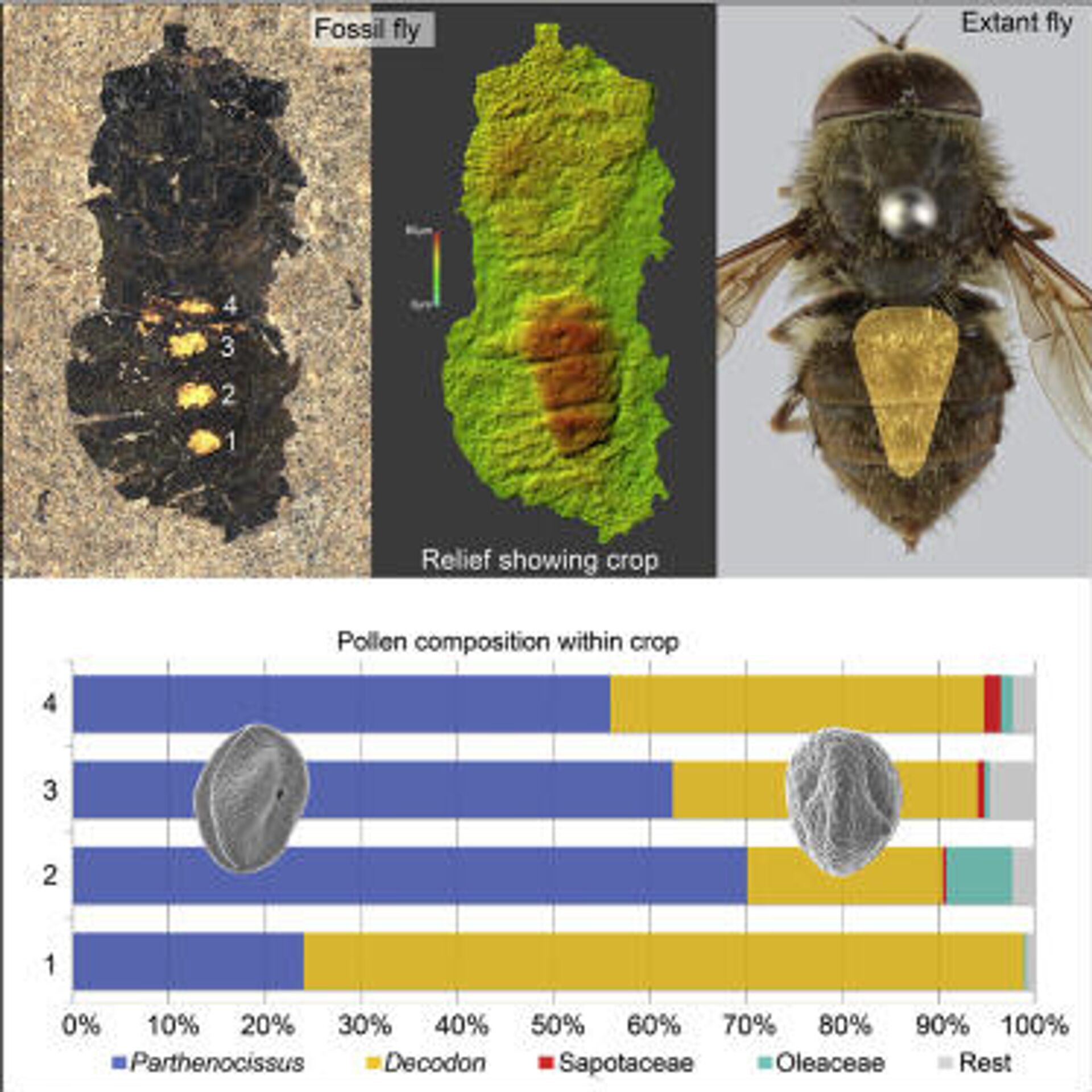 Polen - Sputnik Mundo, 1920, 12.03.2021