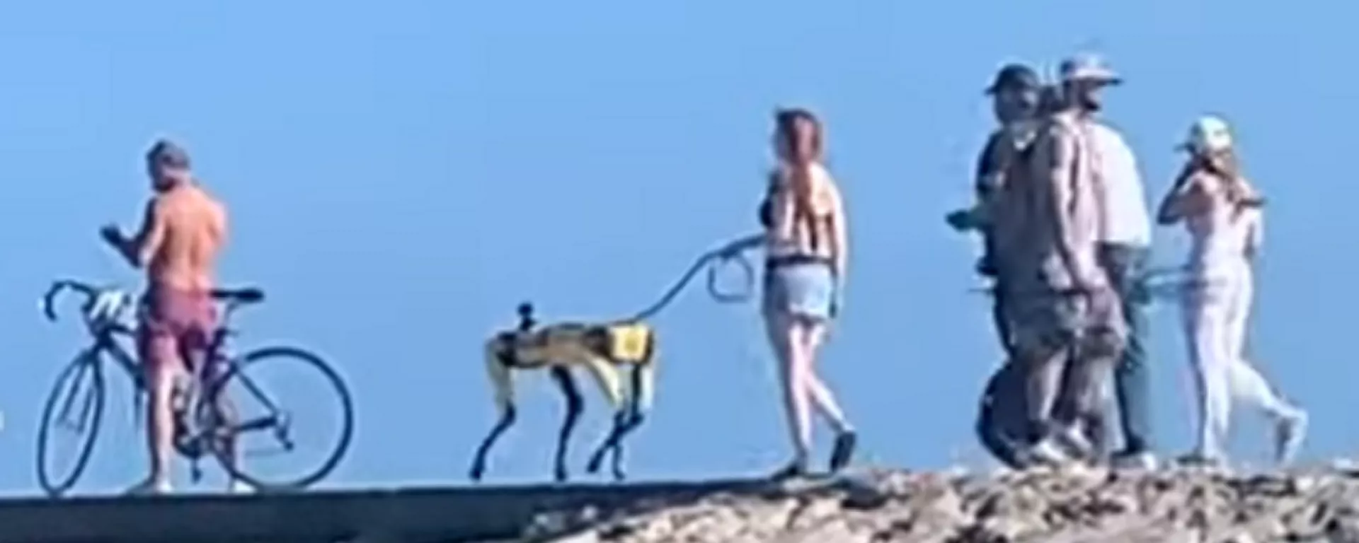 Una mujer pasea a su perro robótico Una mujer pasea a su perro robótico - Sputnik Mundo, 1920, 13.03.2021