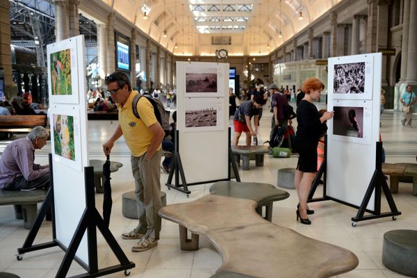 Exposición de los ganadores del Concurso de Fotoperiodismo Andréi Stenin en Buenos Aires - Sputnik Mundo