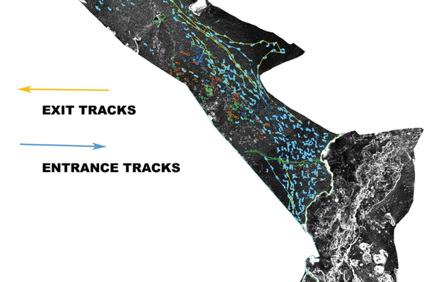 Rastros de la Galería de las Huellas II de la Cueva Palomera - Sputnik Mundo