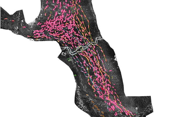 Rastros de la Galería de las Huellas I de la Cueva Palomera - Sputnik Mundo