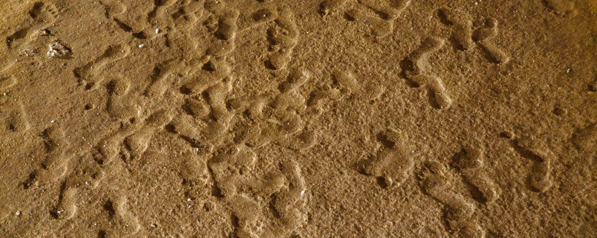 Huellas humanas de Cueva Palomera - Sputnik Mundo, 1920, 18.03.2021