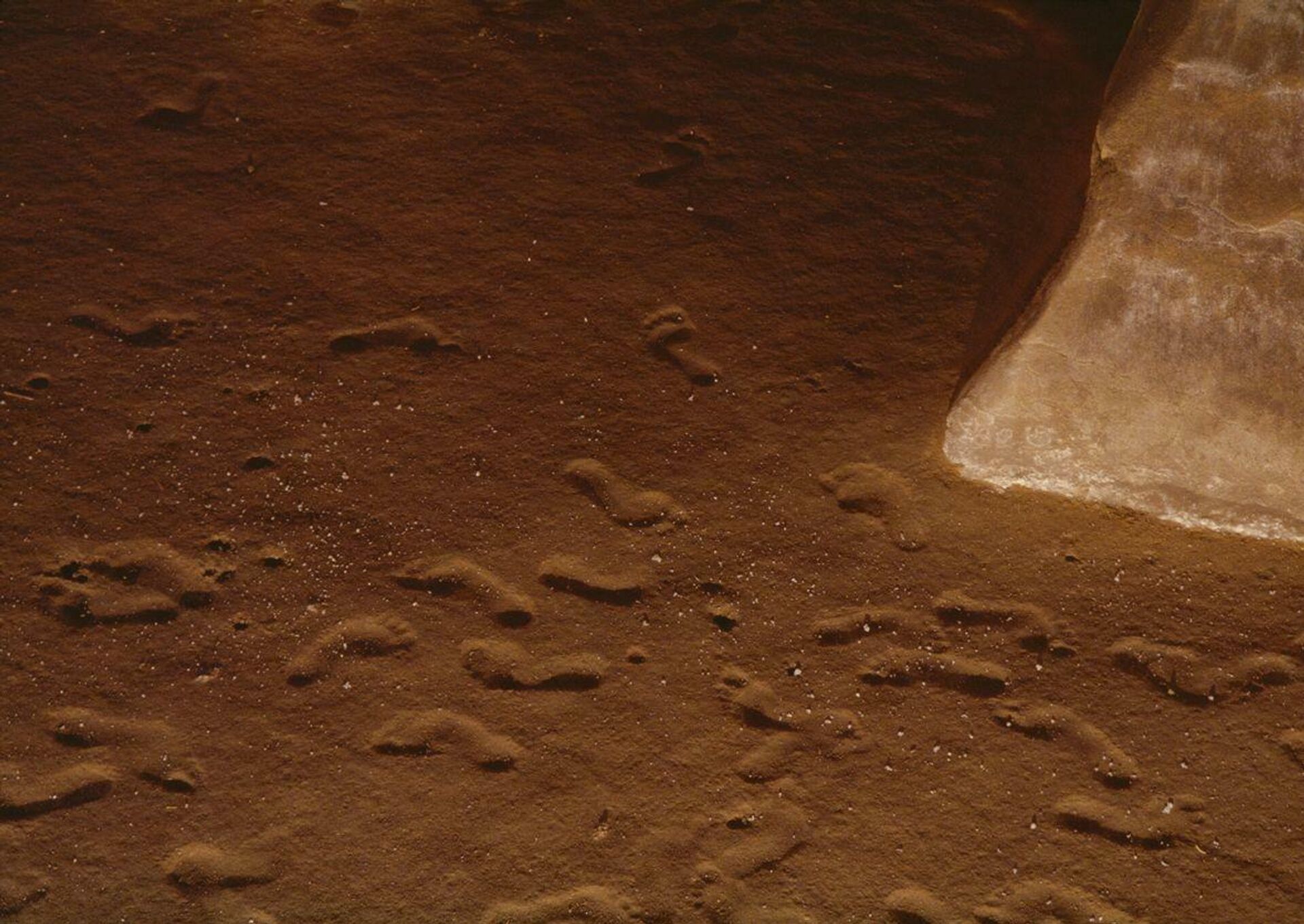 Galería de las Huellas II - Sputnik Mundo, 1920, 17.03.2021