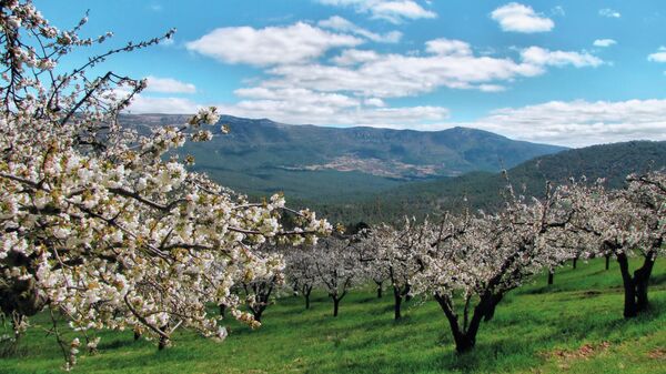 Valle de las Caderechas (Burgos) - Sputnik Mundo