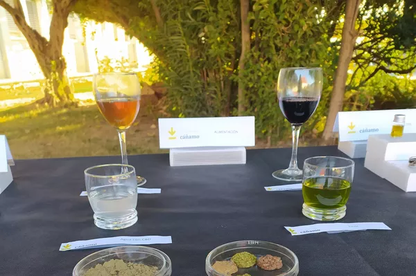 Investigación en el Polo Tecnológico del Cáñamo de Badajoz Investigación en el Polo Tecnológico del Cáñamo de Badajoz - Sputnik Mundo