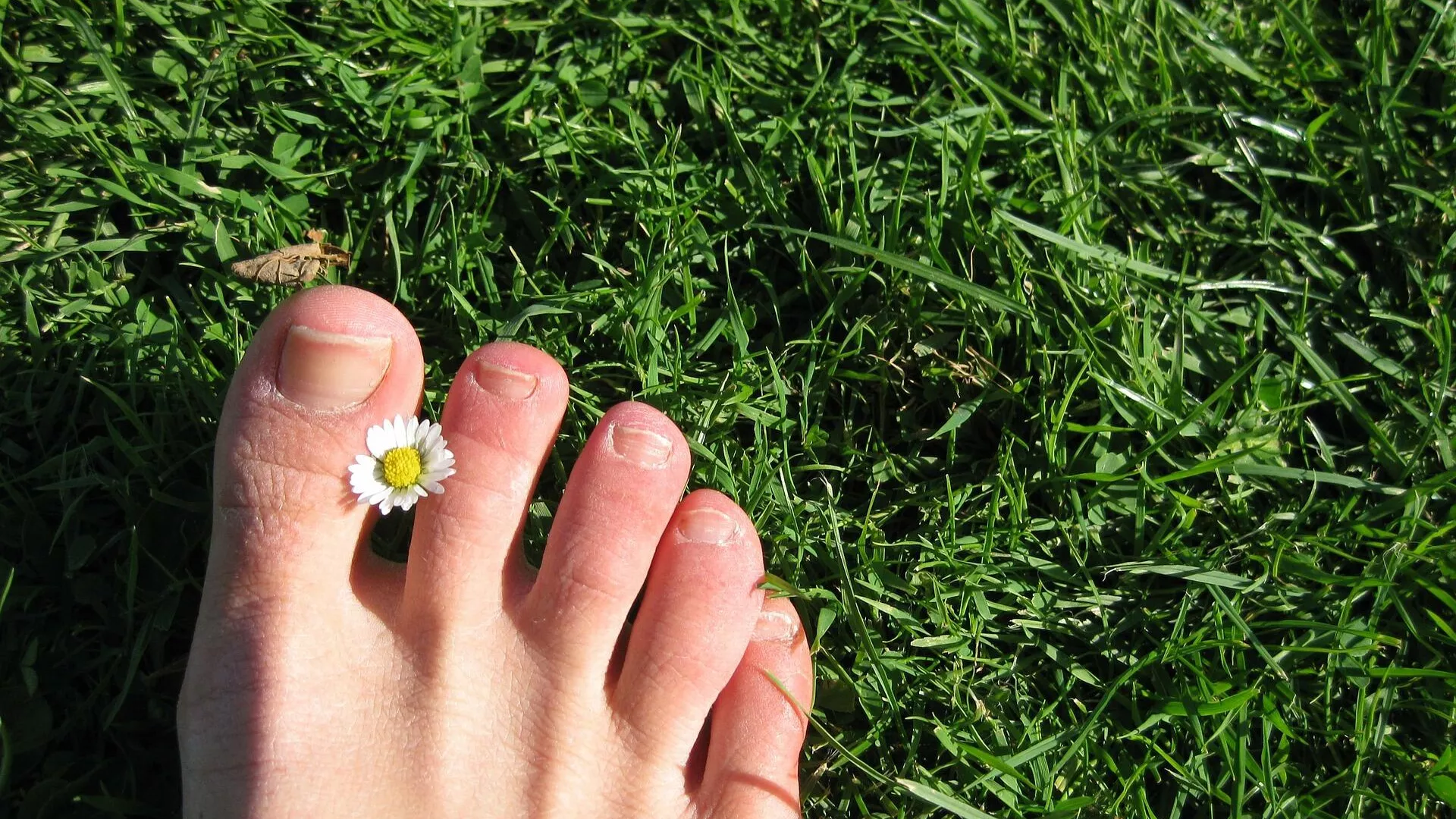 Un pie con las uñas