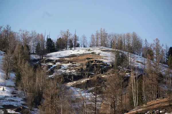 Putin y Shoigú aprovecharon los días de descanso para apreciar los impresionantes paisajes de Siberia, como el que se ve en esta foto oficial del viaje presidencial. Putin y Shoigú aprovecharon los días de descanso para apreciar los impresionantes paisajes de Siberia, como el que se ve en esta foto oficial del viaje presidencial. - Sputnik Mundo