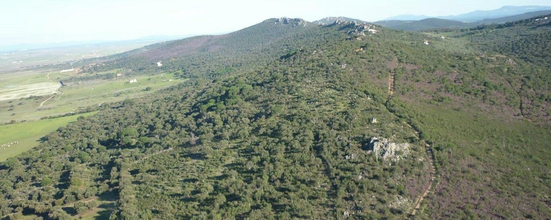 Sierra de la Mosca (Cáceres) - Sputnik Mundo, 1920, 22.03.2021