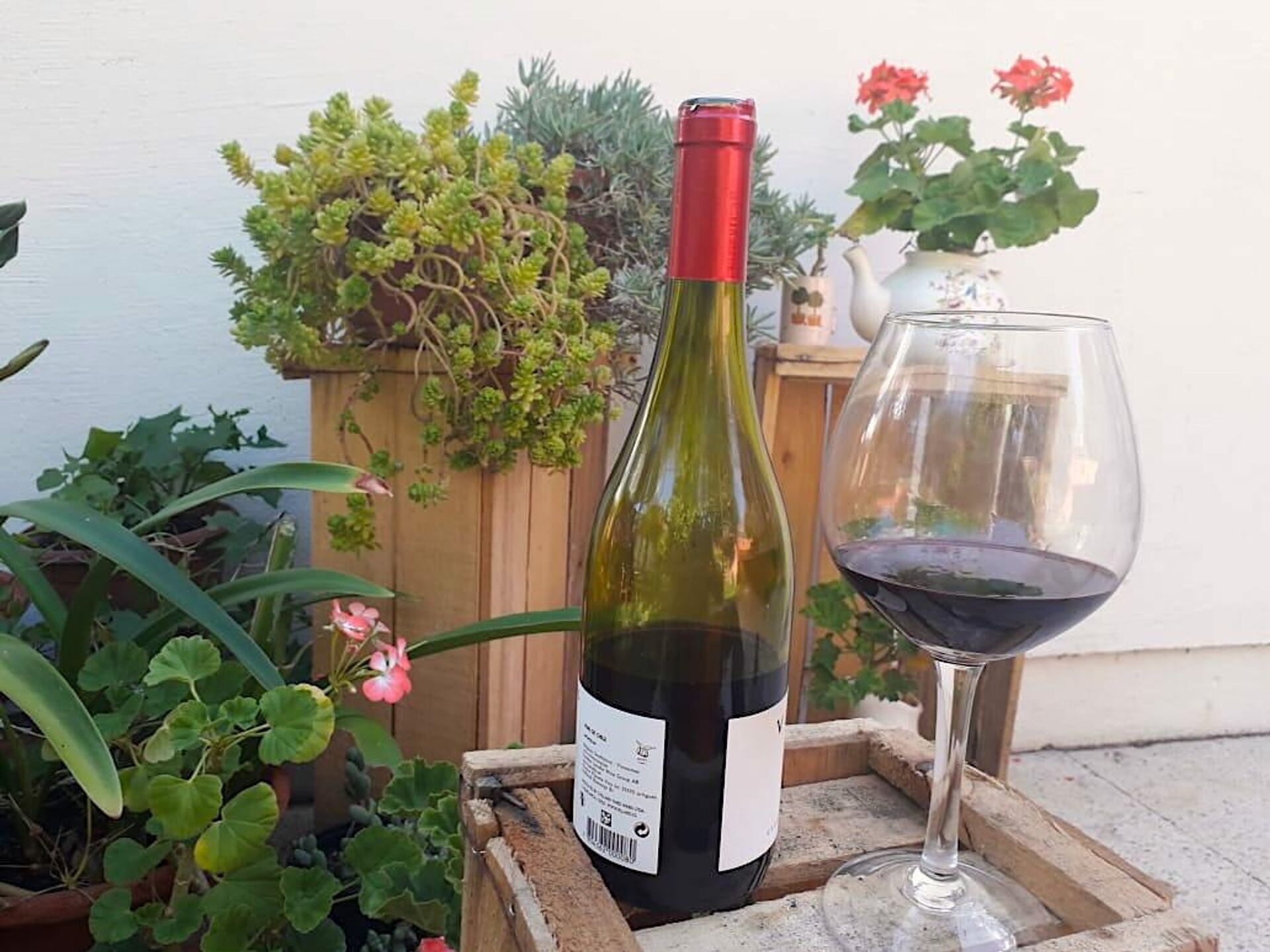 Vinos chilenos Vinos chilenos - Sputnik Mundo, 1920, 23.03.2021