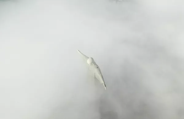 Con una altura equivalente a la de un edificio de 13 pisos, es actualmente la tercera estatua de Jesucristo más grande del mundo.En la foto: la estatua del Cristo Redentor entre nubes, durante su restauración. Con una altura equivalente a la de un edificio de 13 pisos, es actualmente la tercera estatua de Jesucristo más grande del mundo.En la foto: la estatua del Cristo Redentor entre nubes, durante su restauración. - Sputnik Mundo