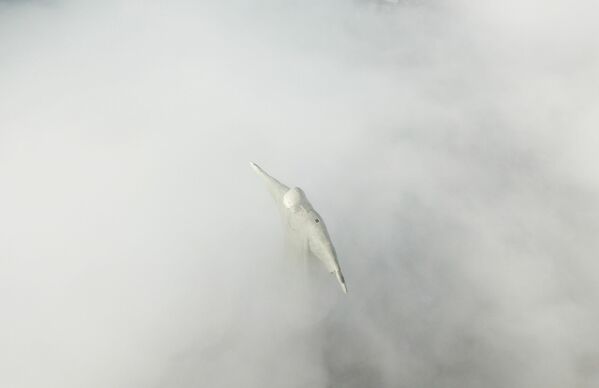 Con una altura equivalente a la de un edificio de 13 pisos, es actualmente la tercera estatua de Jesucristo más grande del mundo.En la foto: la estatua del Cristo Redentor entre nubes, durante su restauración. - Sputnik Mundo