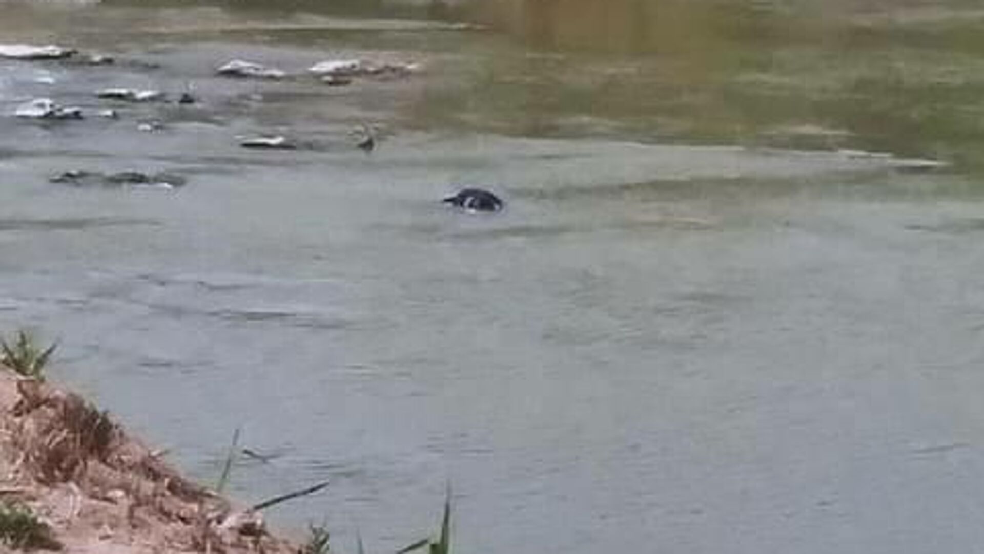 El cuerpo de un migrante fallecido - Sputnik Mundo, 1920, 26.03.2021