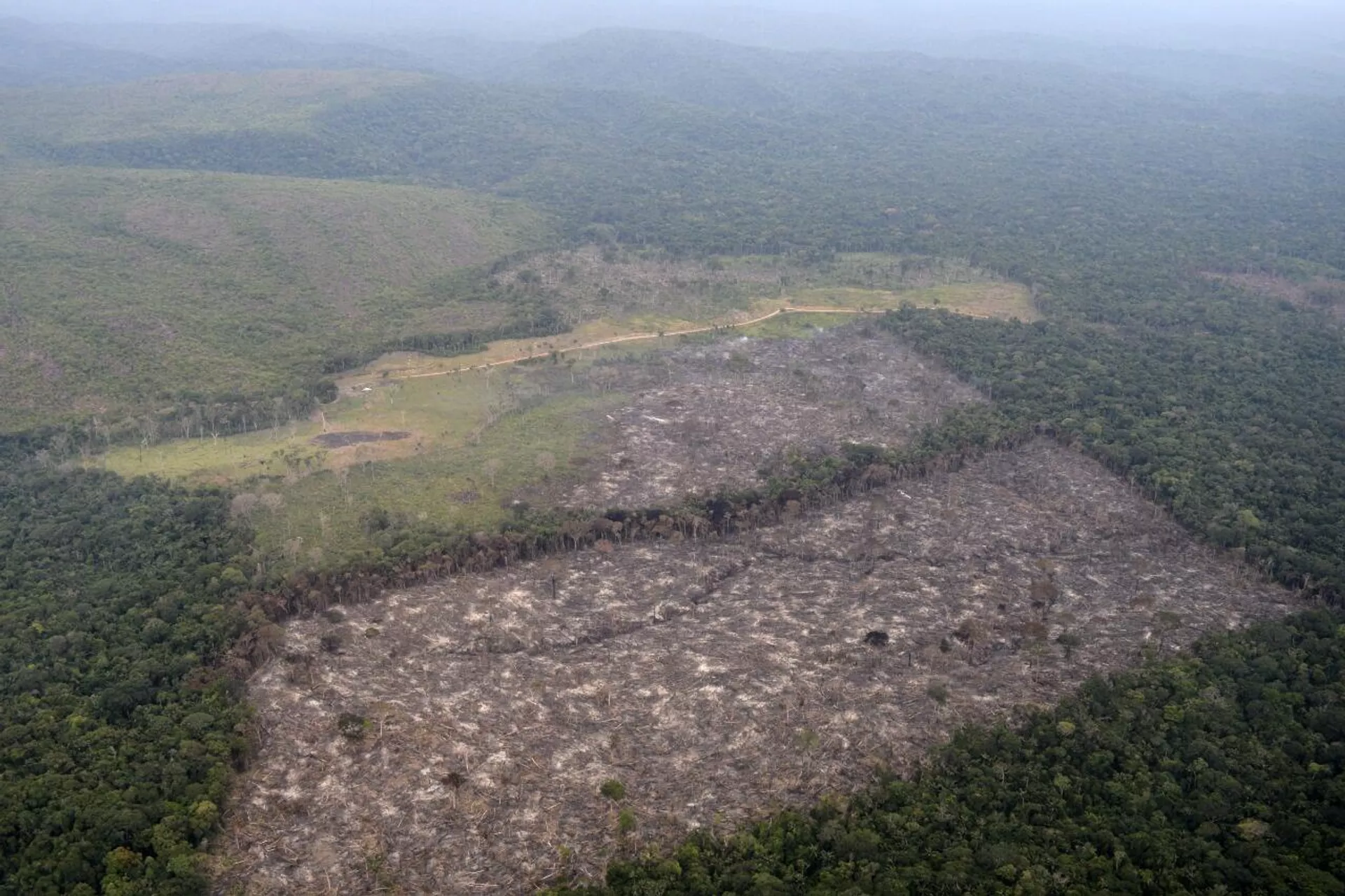 Deforestación en Colombia Deforestación en Colombia - Sputnik Mundo, 1920, 26.03.2021