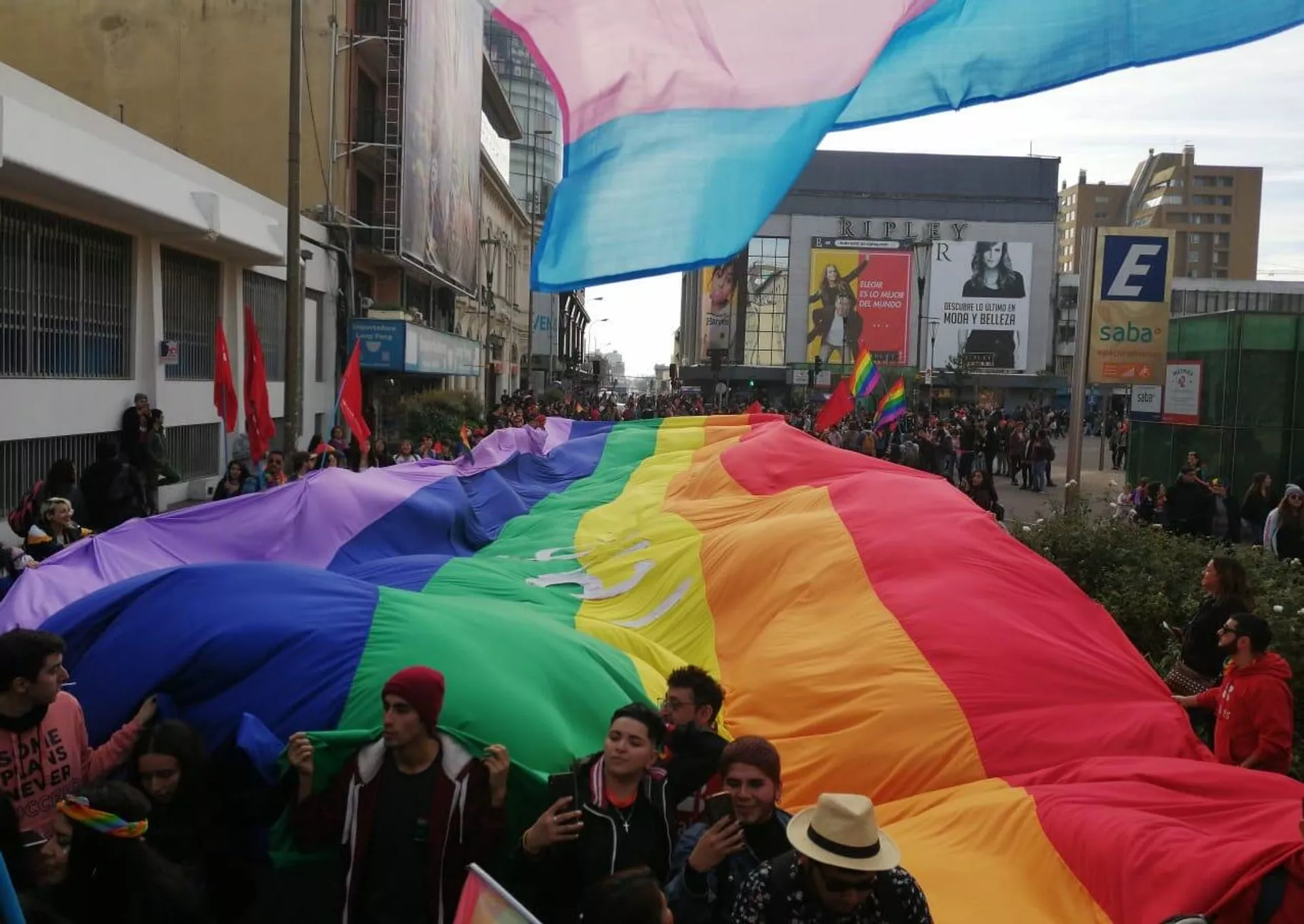 Marcha orgullo LGTBI, en Concepción, 2019 Marcha orgullo LGTBI, en Concepción, 2019 - Sputnik Mundo, 1920, 07.04.2021