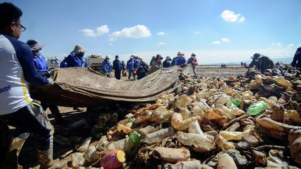 La campaña de limpieza en el lago Uru Uru, Bolivia - Sputnik Mundo