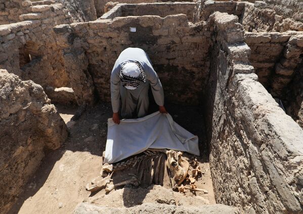 Atón es la ciudad antigua más grande jamás descubierta en Egipto. Fue fundada por Amenhotep III, que gobernó desde 1391 hasta 1353 a.C. En aquella época Atón se consideraba el mayor centro administrativo y económico.En la foto: las excavaciones en el lugar de Atón o Ciudad Dorada Perdida en Egipto. - Sputnik Mundo