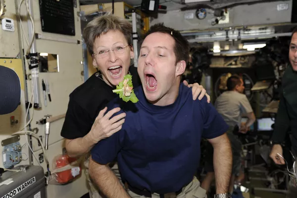 El astronauta francés Thomas Pesquet y la astronauta de la NASA Peggy Whitson a bordo de la EEI con una hoja de lechuga. El astronauta francés Thomas Pesquet y la astronauta de la NASA Peggy Whitson a bordo de la EEI con una hoja de lechuga. - Sputnik Mundo