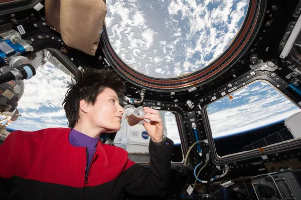 Samantha Cristoforetti toma su café en la cúpula de la EEI con vistas a la Tierra. Samantha Cristoforetti toma su café en la cúpula de la EEI con vistas a la Tierra. - Sputnik Mundo