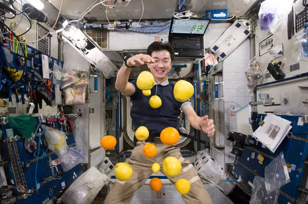El astronauta japonés Kimiya Yui recoge fruta voladora que fueron enviados a la EEI en una nave de carga Kounotori 5 H-II Transfer Vehicle (HTV-5). El astronauta japonés Kimiya Yui recoge fruta voladora que fueron enviados a la EEI en una nave de carga Kounotori 5 H-II Transfer Vehicle (HTV-5). - Sputnik Mundo
