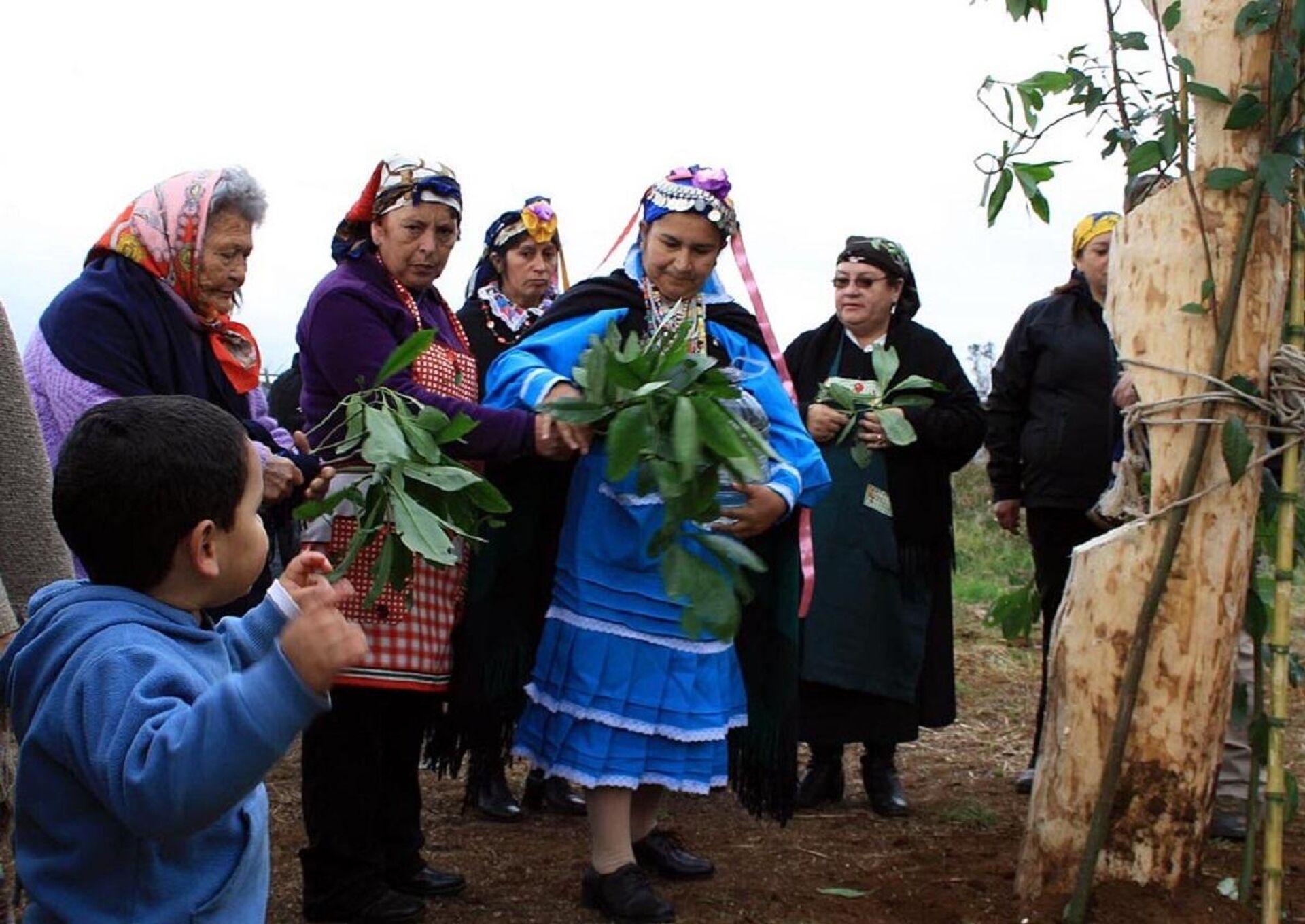 Ceremonia mapuche - Sputnik Mundo, 1920, 14.04.2021