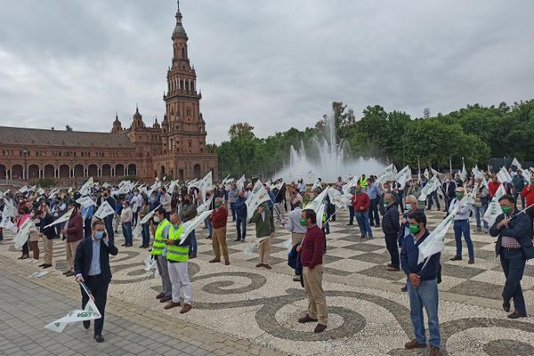 La protesta de agricultores en Sevilla - Sputnik Mundo