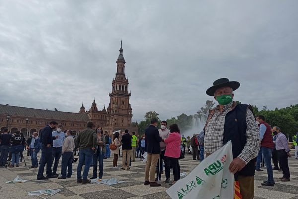 La protesta de agricultores en Sevilla - Sputnik Mundo