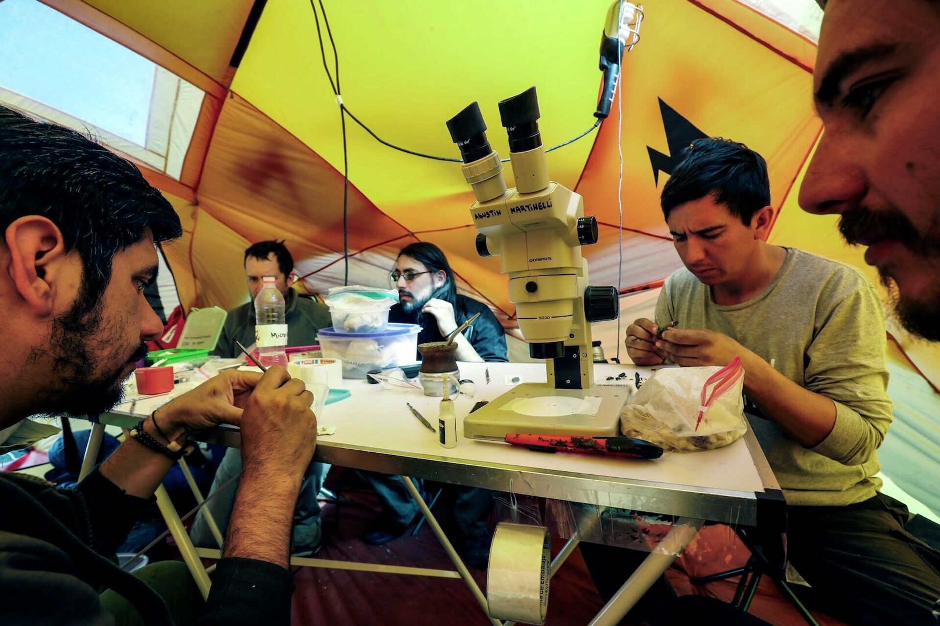 Expedición paleontológica - Sputnik Mundo, 1920, 16.04.2021