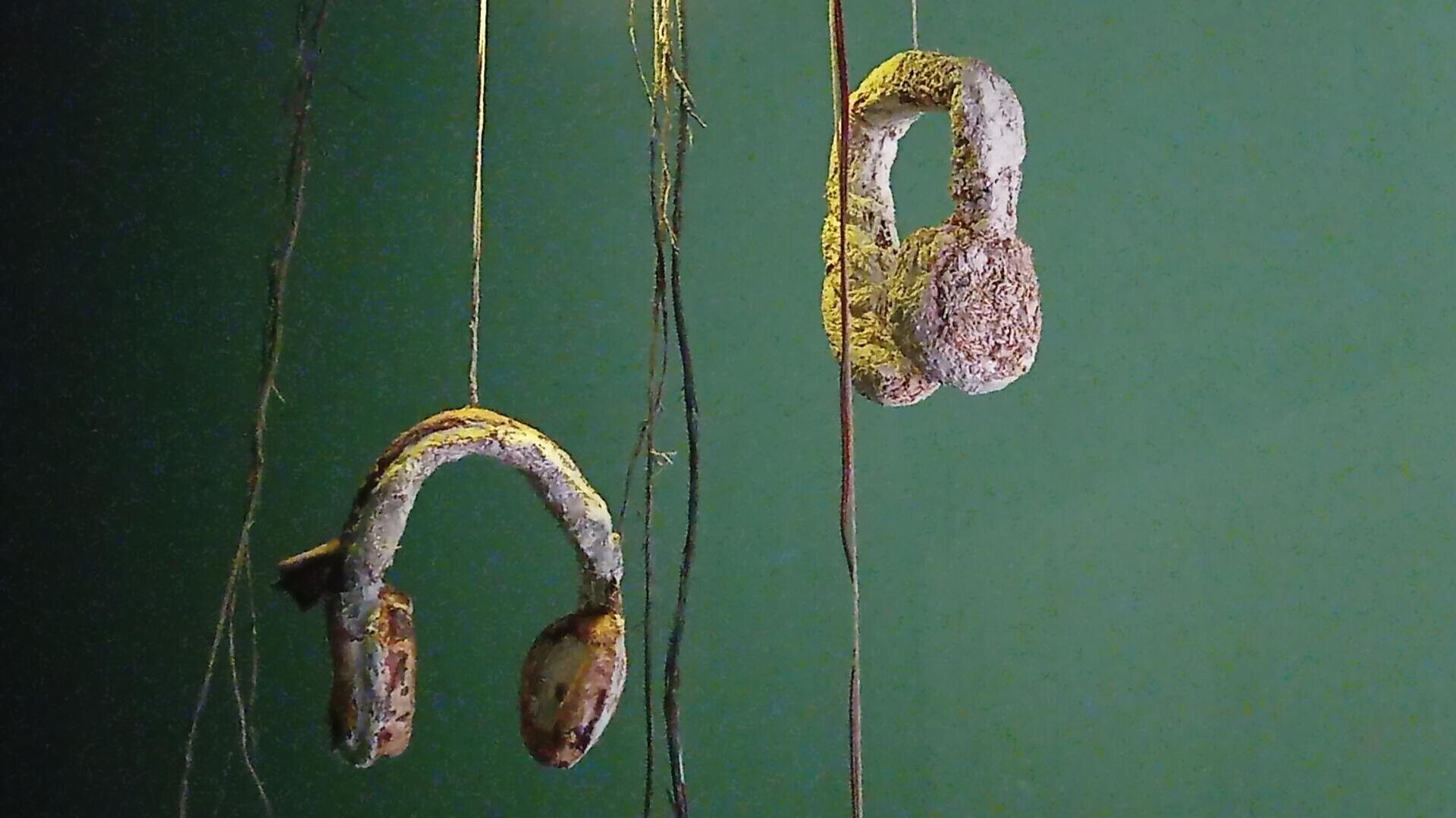 Parte de la muestra Desbosque. Desenterrando señales - Sputnik Mundo, 1920, 16.04.2021