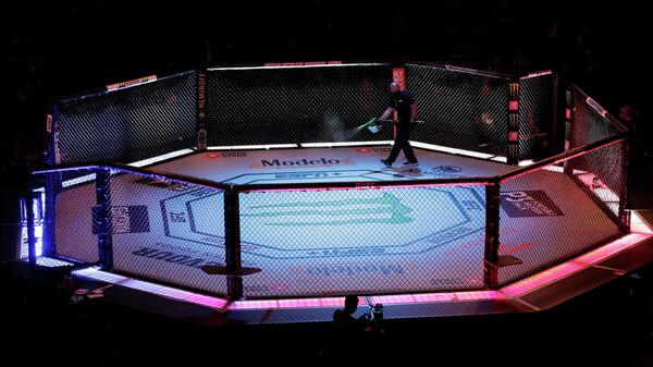 Un octógono de MMA - Sputnik Mundo