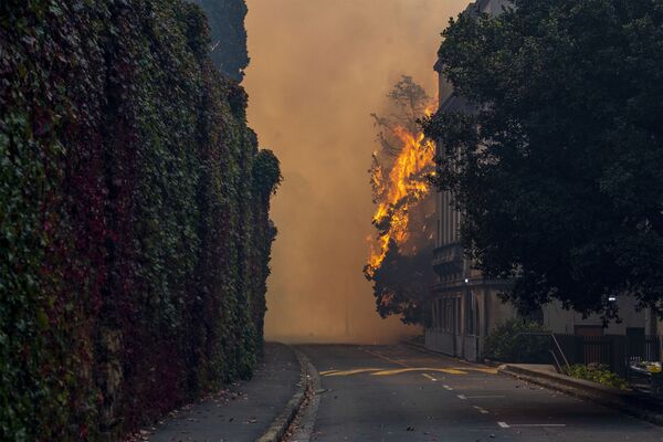 Los fuertes vientos en la montaña, que se eleva por más de un kilómetro sobre la ciudad, contribuyen a la propagación del fuego. - Sputnik Mundo