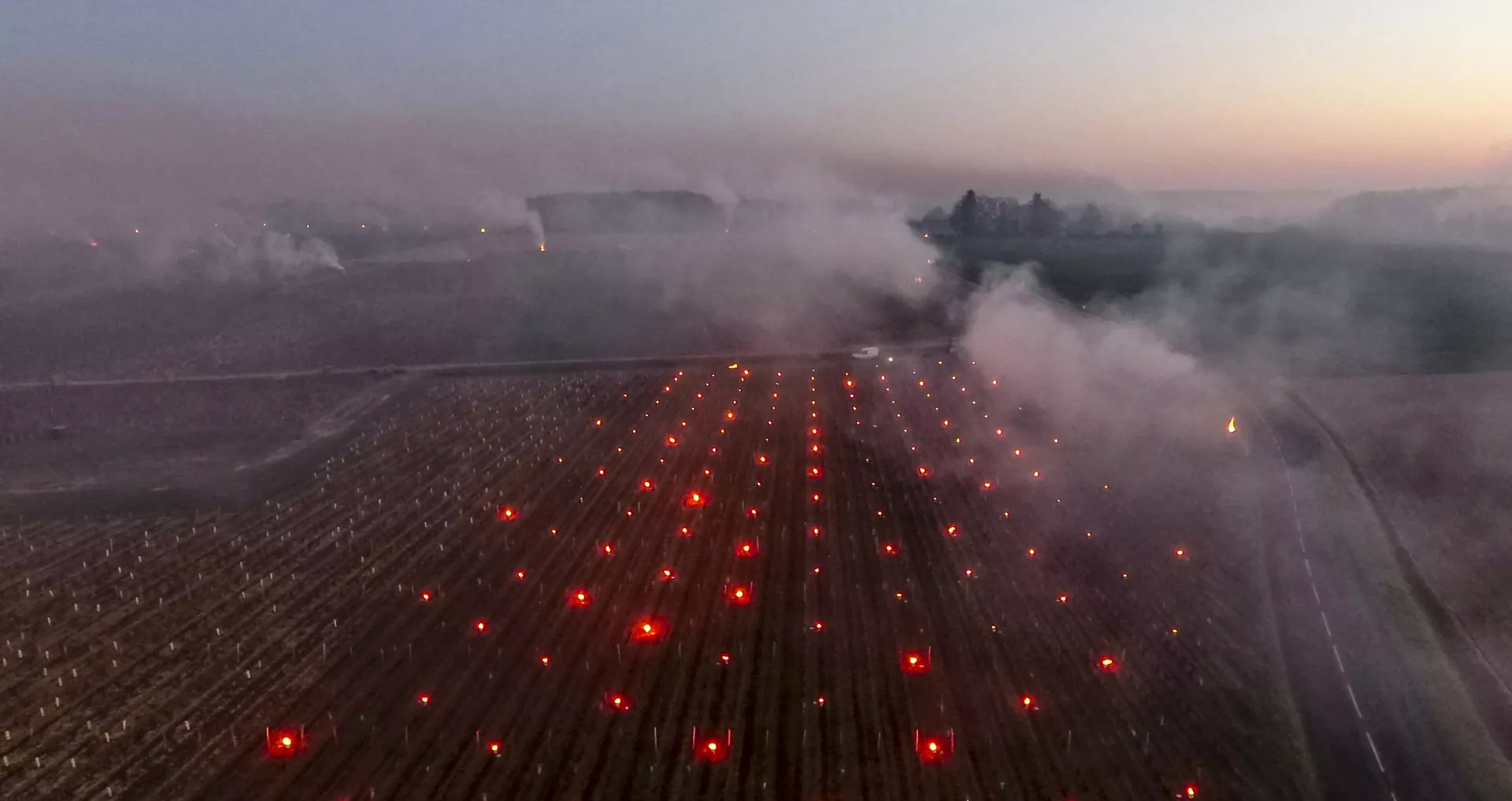 Viñedos de Vouvray (Francia) con velas para combatir el frío Viñedos de Vouvray (Francia) con velas para combatir el frío - Sputnik Mundo, 1920, 20.04.2021