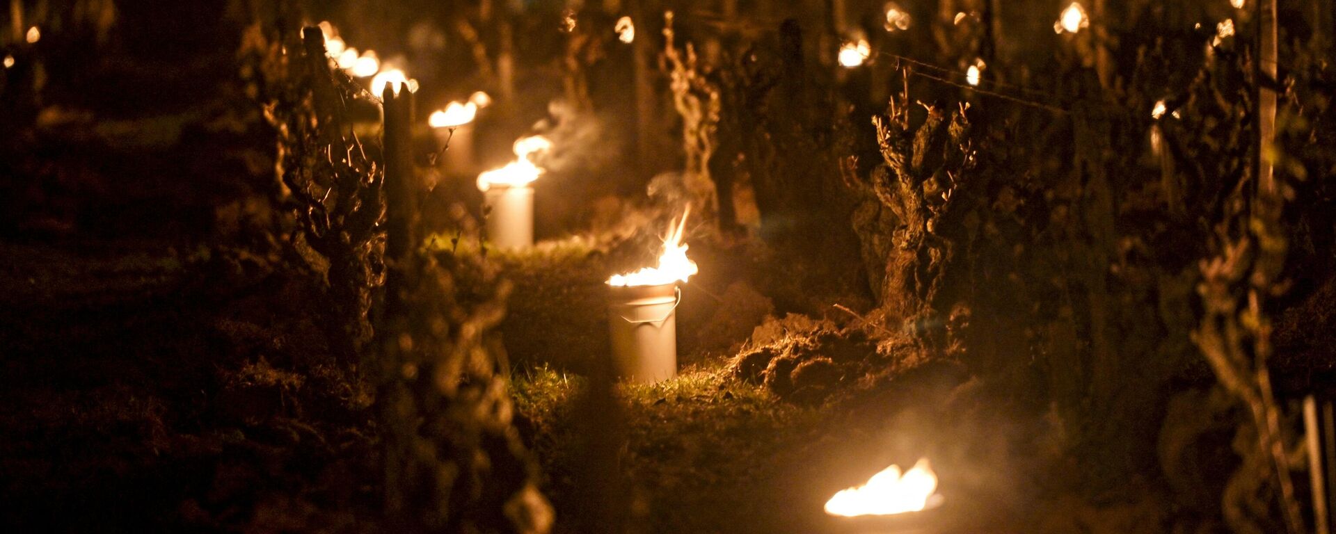 Velas cerca de las viñas de Vouvray (Francia) - Sputnik Mundo, 1920, 21.04.2021