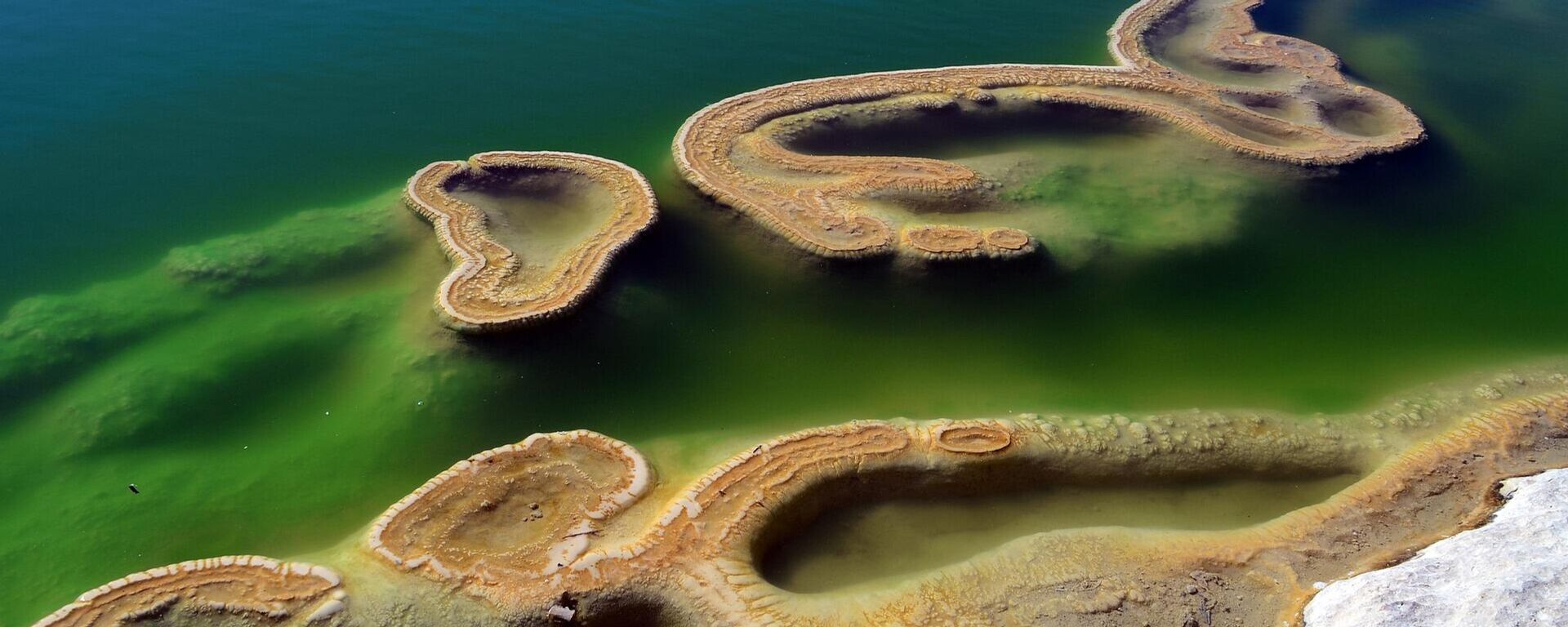 Naturaleza en Oaxaca, México - Sputnik Mundo, 1920, 20.04.2021