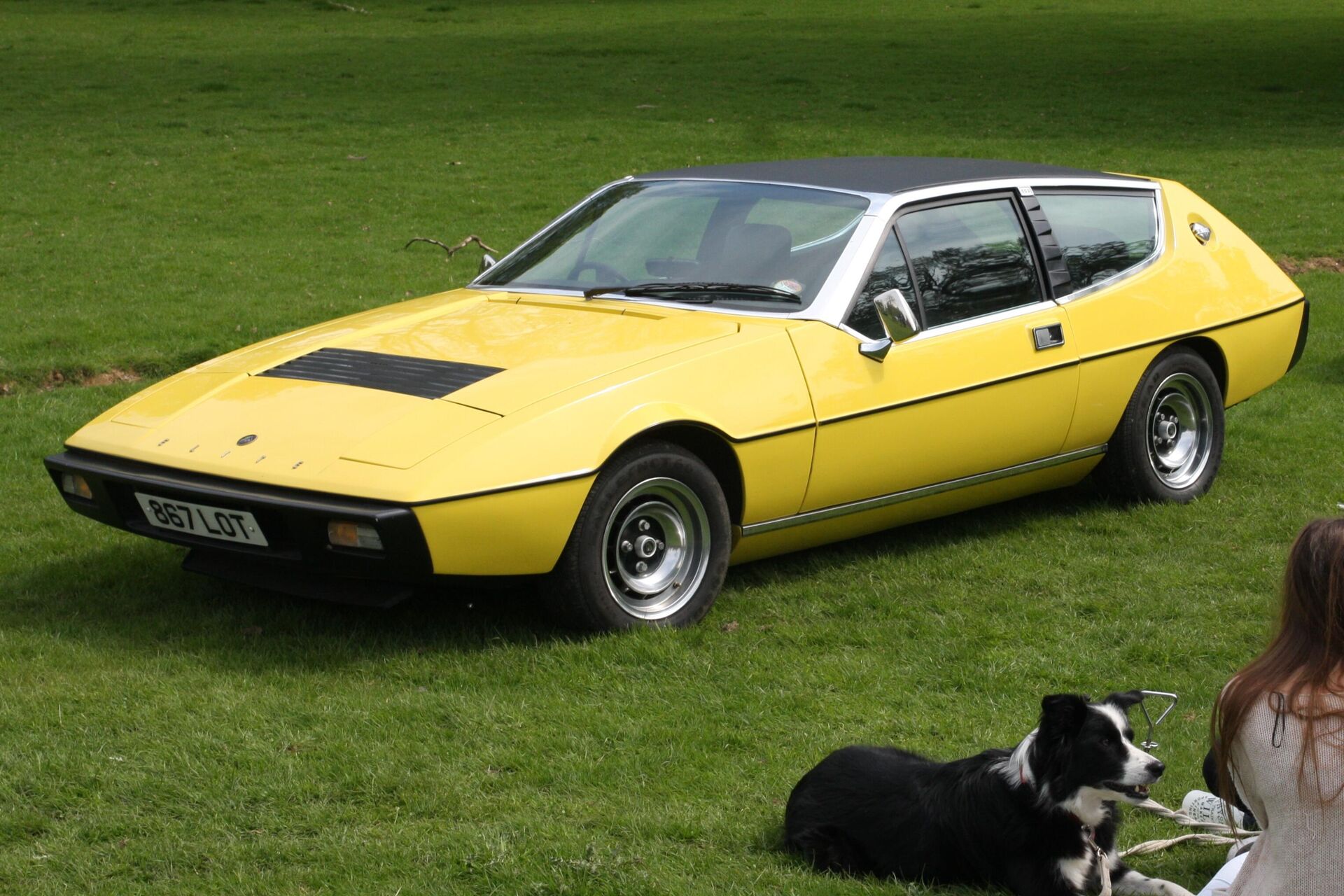 4. Lotus Elite 1974 (60,07% alineado a la proporción áurea) - Sputnik Mundo, 1920, 22.04.2021
