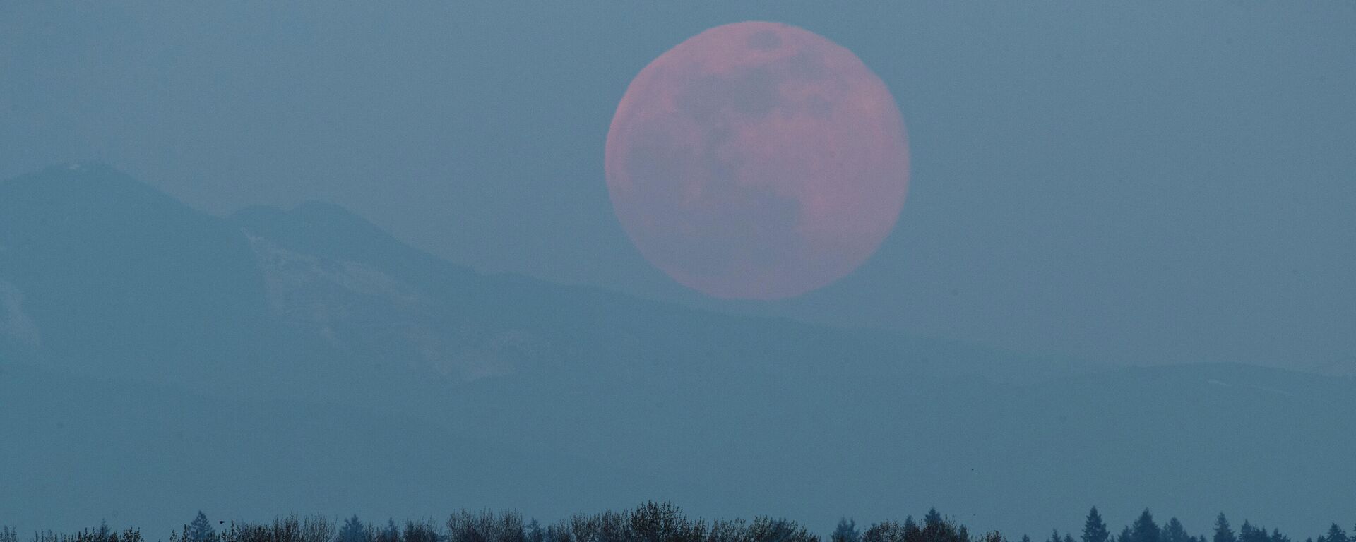 La superluna de abril 2020 en Tacoma (EEUU) - Sputnik Mundo, 1920, 22.08.2021