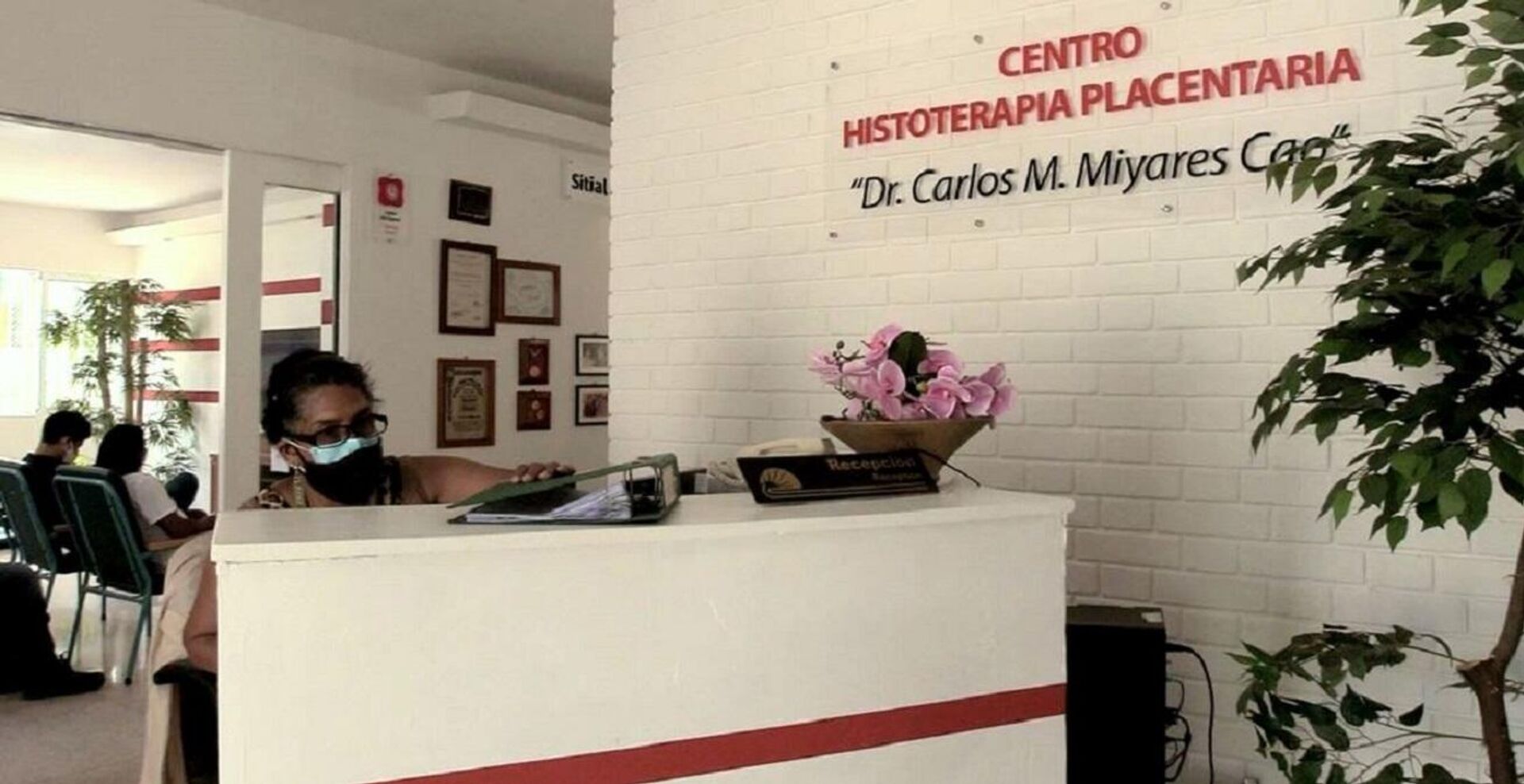 Centro Histoterapia Placentaria de Cuba - Sputnik Mundo, 1920, 27.04.2021